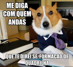 Lawyer Dog