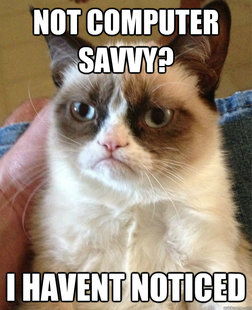 Grumpy cat