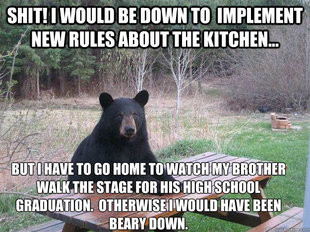 Bear of Bad News