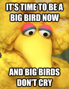 Big Bird