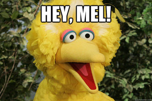Big Bird