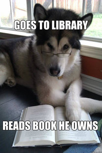 Condescending Literary Pun Dog