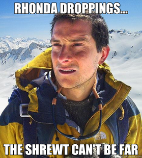 Bear Grylls