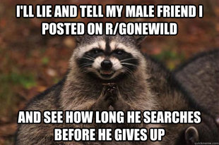Evil Plotting Raccoon
