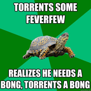 Torrenting Turtle