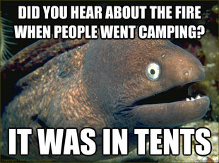 Bad Joke Eel
