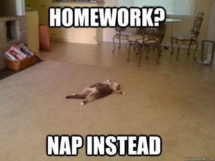Down Cat