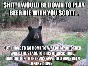 Bear of Bad News