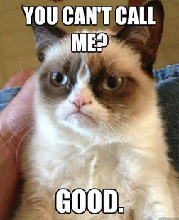 Grumpy cat