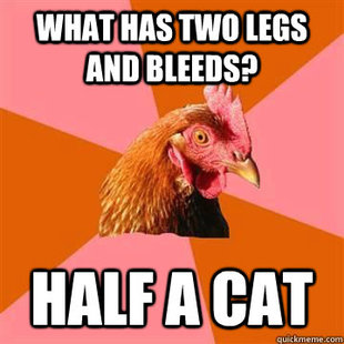 anti joke chicken