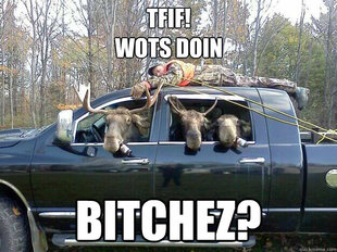GET IN THE CAR