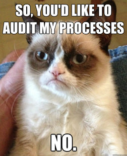 Grumpy cat