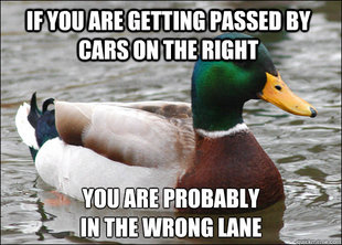 Actual Advice Mallard