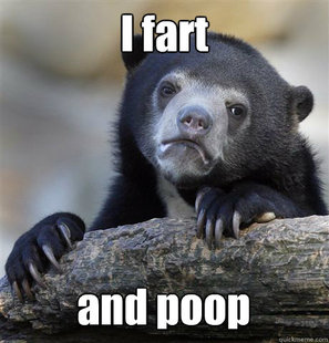 Confession Bear