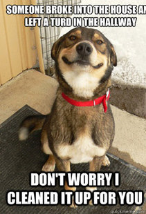 Good Dog Greg