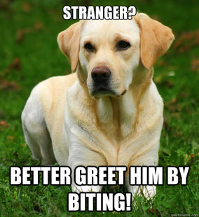 Dog Logic