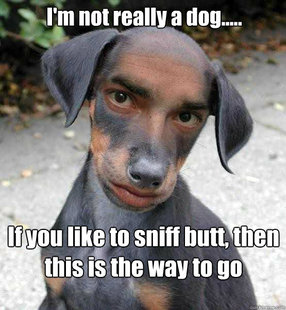DogMan