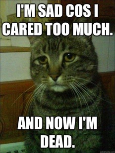 Depressed cat