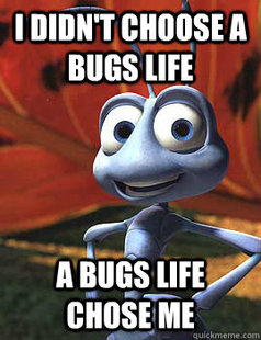Flik