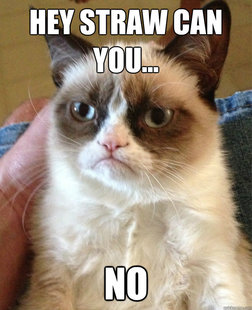 Grumpy cat