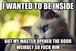 First World Cat Problems