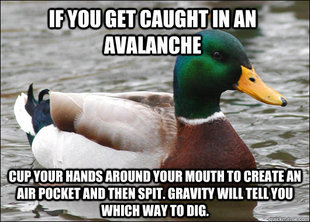 Actual Advice Mallard