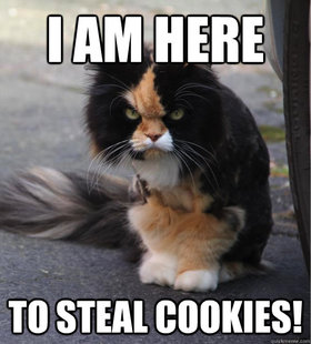 Evil Cat