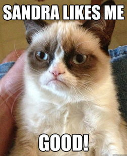 Grumpy cat