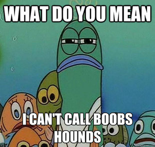 Serious fish SpongeBob