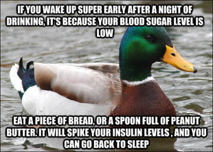 Actual Advice Mallard