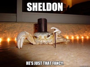 Fancy Crab