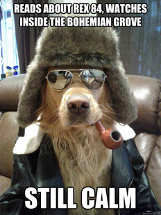 Overly Suave Dog