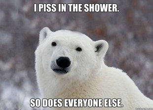 Popular Opinion Polar Bear