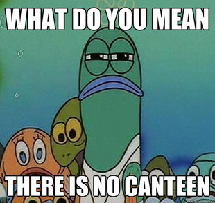 Serious fish SpongeBob