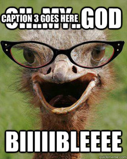 Judgmental Bookseller Ostrich