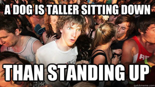 Sudden Clarity Clarence