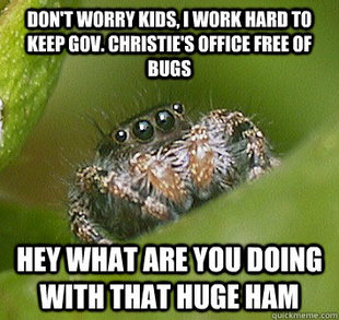 Misunderstood Spider