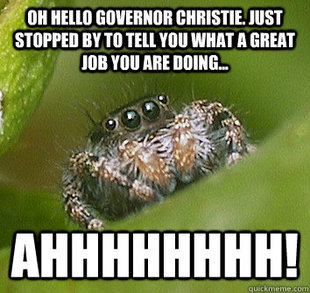 Misunderstood Spider