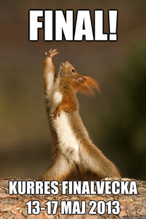 Who Run The World Squirrels