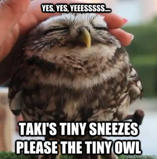 cute owl