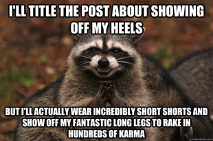 Evil Plotting Raccoon