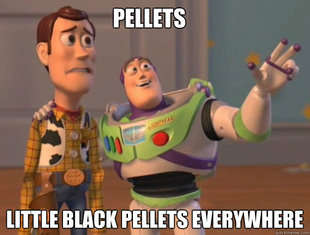 buzz