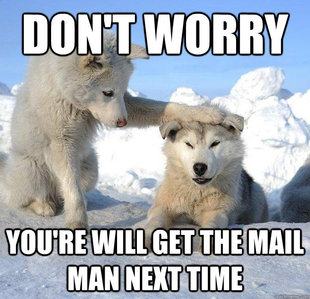 Caring Husky