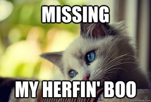 First World Cat Problems