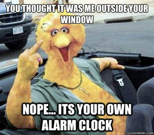 Big Bird