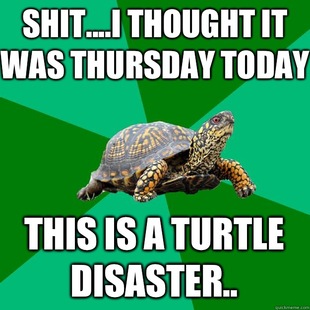 Torrenting Turtle