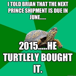 Torrenting Turtle