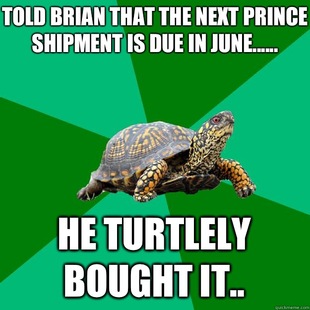 Torrenting Turtle