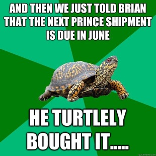 Torrenting Turtle