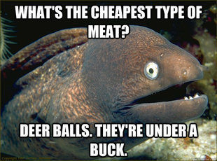 Bad Joke Eel